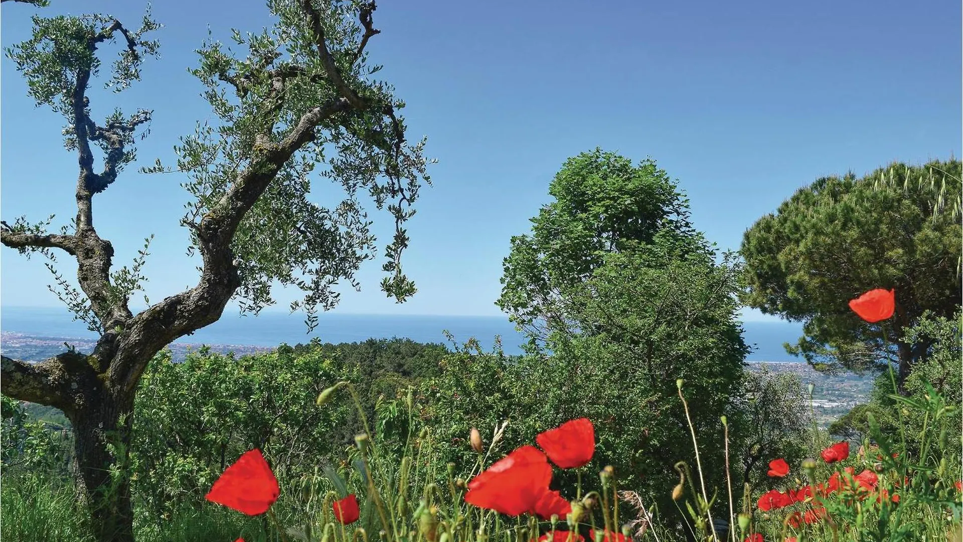 Villa Ortensia Capezzano Pianore 0*,  Italy